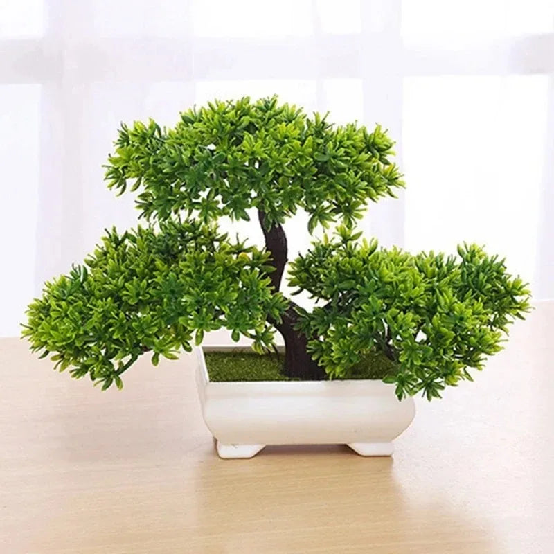 Drzewko Bonsai