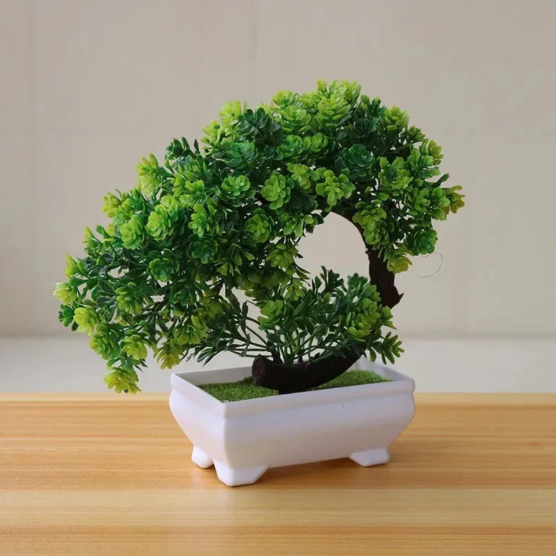 Drzewko Bonsai